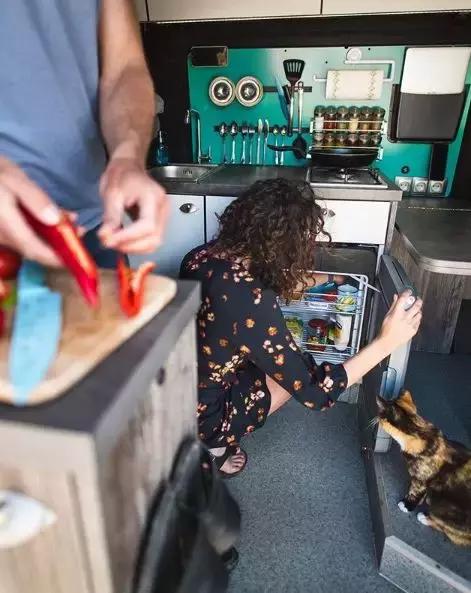 流浪猫私自闯上车被赶出，最后居然搭上顺风车，环游全欧洲