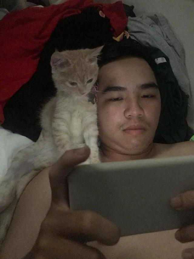 男主让猫咪一起追剧，五分钟还不到就对上眼，一看表情忍不住笑了