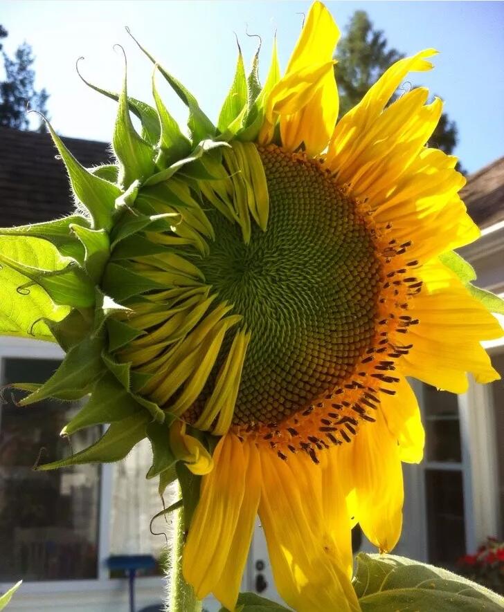 『』一组不可思议的照片，刷新你对世界的认知