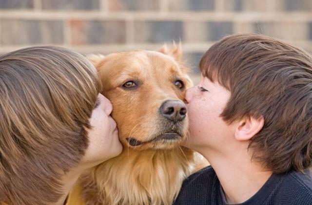 狗狗有没有情绪呢？能感知我们的爱吗？可能比我们想的还要多