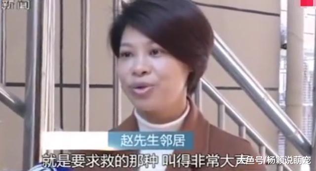 男子见义勇为救下美女邻居，反遭拘留7天，甚至还要赔偿十几万