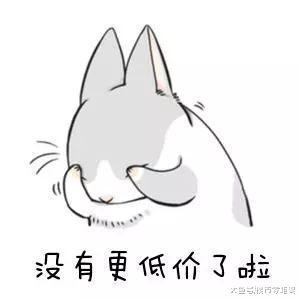 2019江湖風云再起，高價地和低價地一較高低！賣得好的房子就這一種！