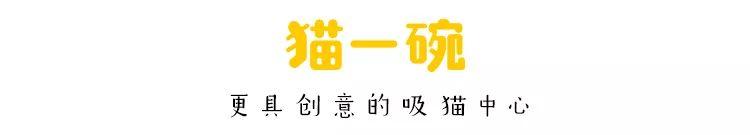 14个被宠物感动的暖心故事, 看完都萌哭了!