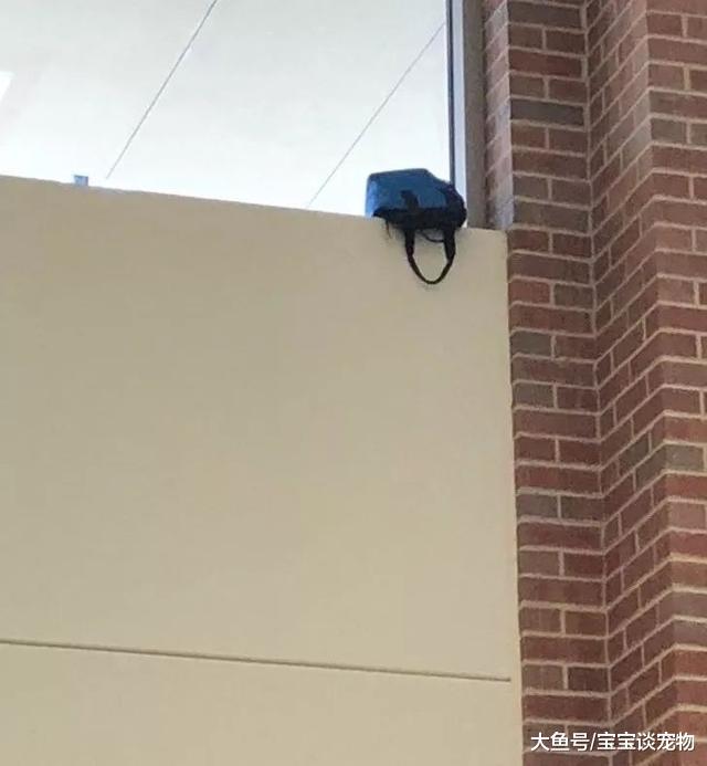 让人细思极恐的图片，到底当时发生了什么？