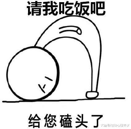 流浪猫每天待窗外不肯走，误以为它是讨吃的，收养后才明白用意