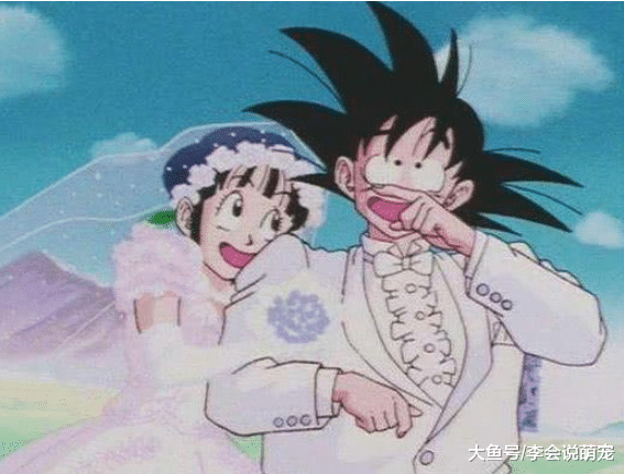 悟空: 我老婆身材A级, 鸣人: 我老婆身材S级, 路飞: 看我媳妇!