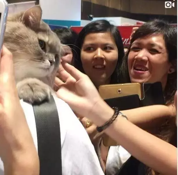 奶奶手酸到医院检查，医生问是否干了重活。奶奶：家里有一只胖猫