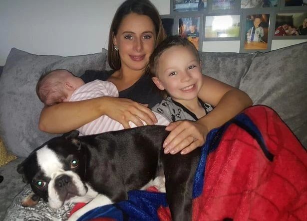 狗狗被偷，心碎的7岁男孩画下这样一张寻狗启事，戳中网友的心