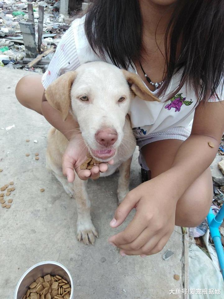 家中狗粮无故消失，“小偷”竟是儿子，母亲得知真相后感动不已