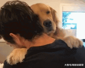 我为什么不难过，因为狗子不允许啊......