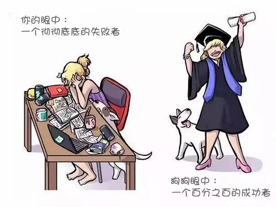 不管怎樣，你都是它眼里的蓋世英雄