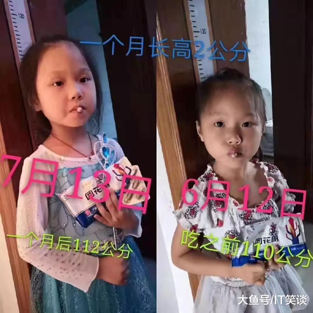 白云山的“警钟之拷”：吃了“团花树”能长高？