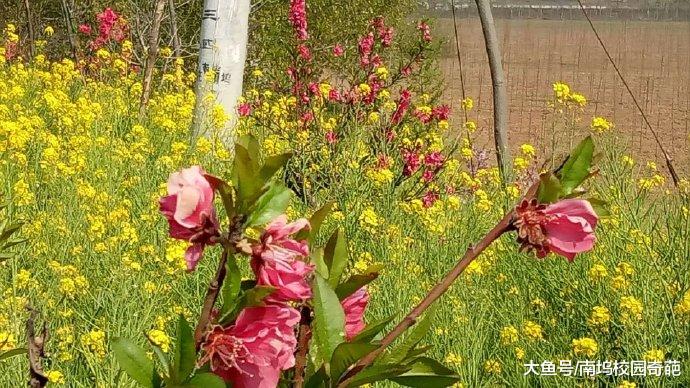 打开uc浏览器 查看更多精彩图片"呕心培育结桃李,沥血浇灌出良才".