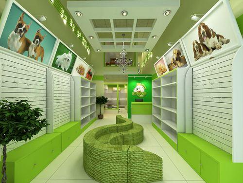 宠物店装修注意事项 宠物宝贝们有话说
