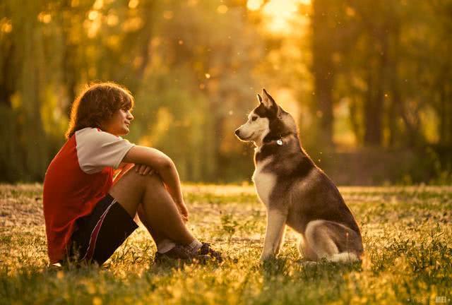 為什么需要給自家狗狗訓練? 十條不可不知的理由!