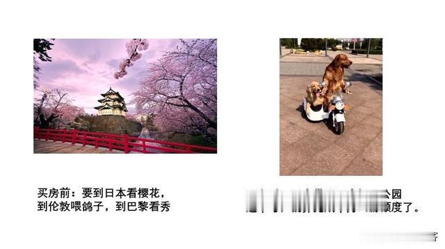 90后买房前后的惊人变化，看到最后我哭了