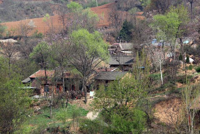 人丑胆大，被拐卖数次后，嫁人数次，却没有一个是她领证的丈夫