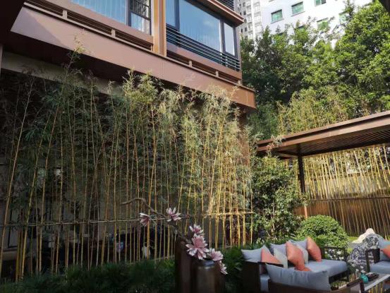 ＂捂地＂5年之久！海珠千万住宅南向景观却是低矮＂老破小＂