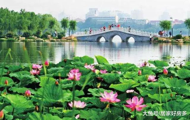 一张图, 看明白长春地铁房