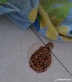 引起狗狗呕吐的原因非常多，常见的有这4种