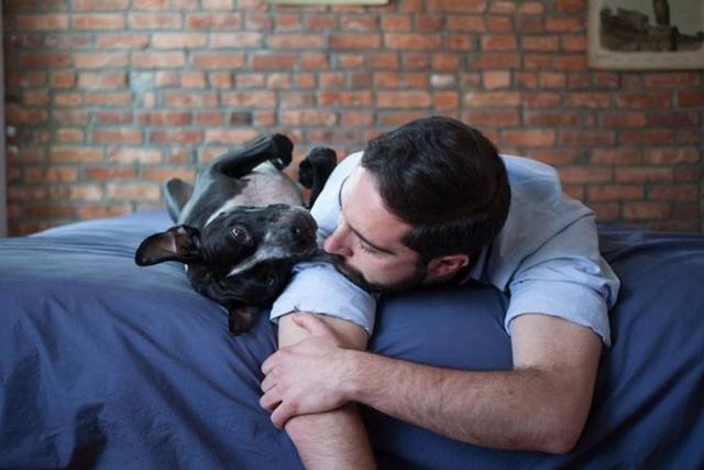 狗狗深爱着主人的5大表现，你家狗狗中了几种