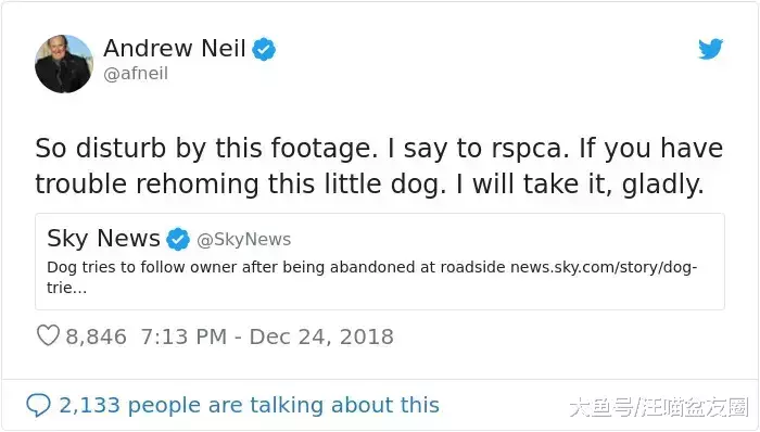 曾经它被连狗带窝遗弃在路边 如今明星和富翁抢着要收养它