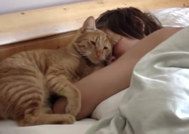 猫咪看到小主人还没起床，跳上去做出这动作叫醒主人，让人好暖心