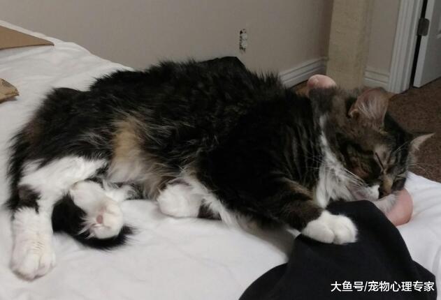 女友打来电话求复合，男子刚打算答应，一听条件秒挂电话