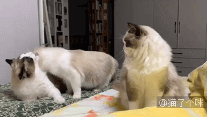 吃东西不要bia唧嘴