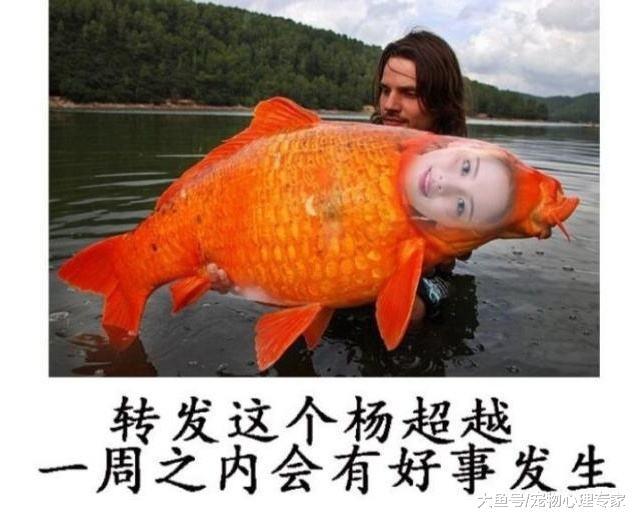 男子河邊散步，一道黑影將錦鯉拖上了岸，看清它的臉后直呼驚喜