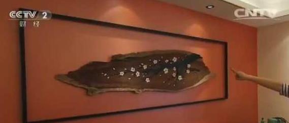 《交换空间》50㎡蜗牛房变“奢华宫殿”！女主人惊喜哭，直呼体面