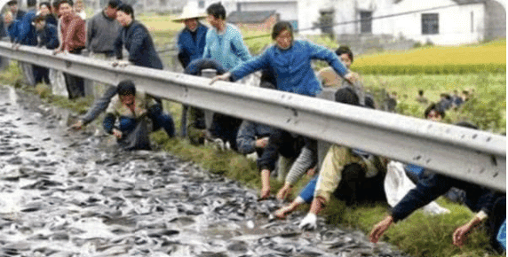 卡車翻車后大家準備哄搶, 走近一瞧, 眾人撒腿就跑。