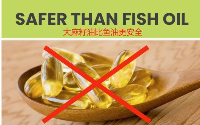 铲屎官小心被骗，植物油当成鱼油卖你，另外大麻籽油你了解过吗
