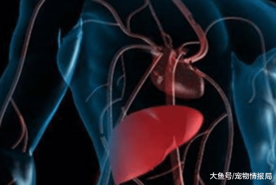 小伙肝癌缠身，花光积蓄后离世，医生遗憾：这种东西不能天天吃！