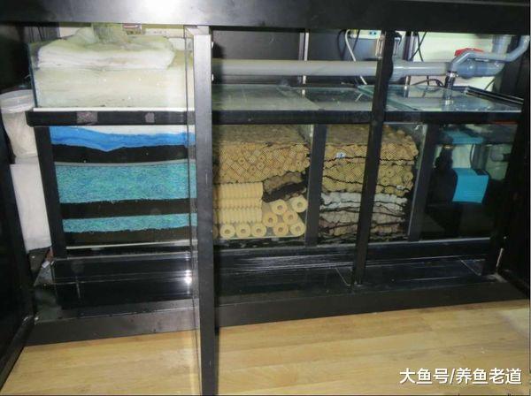 熱帶魚和冷水魚，它們使用的濾材是否應該一樣？