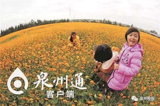 三农发展的“晋江经验”之路: 农业强了, 农村靓了, 农民富了