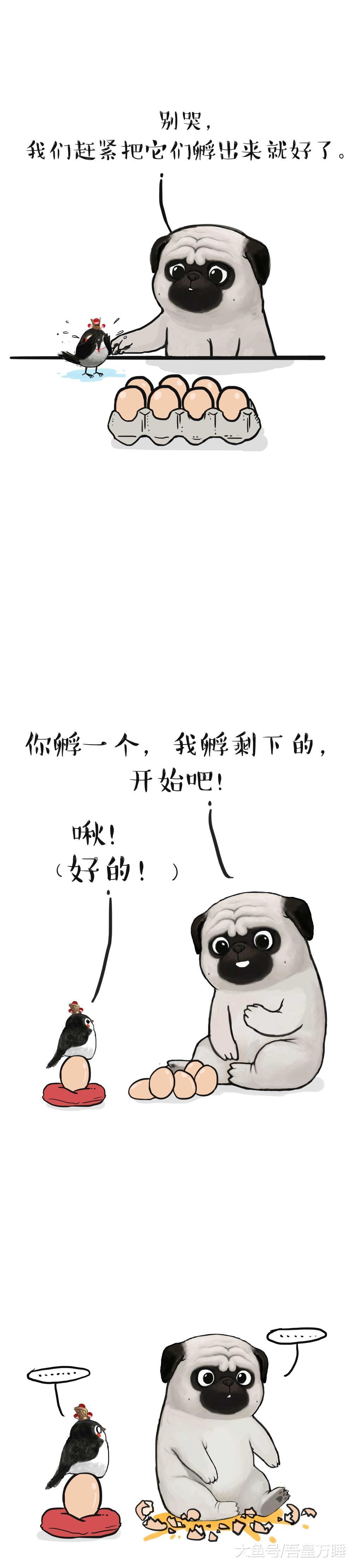 一颗蛋, 由内打破是生命, 由外打破是...狗欠揍了