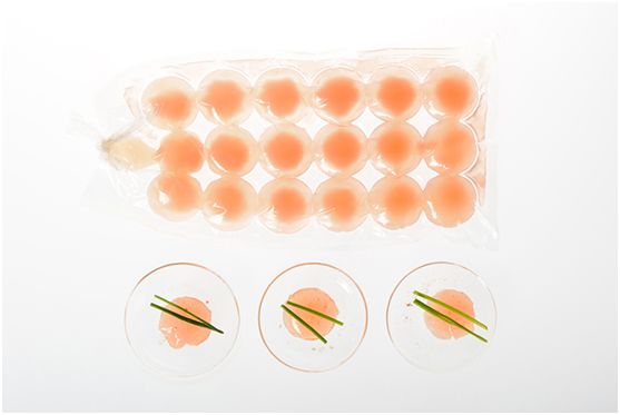 建筑、室内和产品的临床设计，引领我们走向实验室潮流