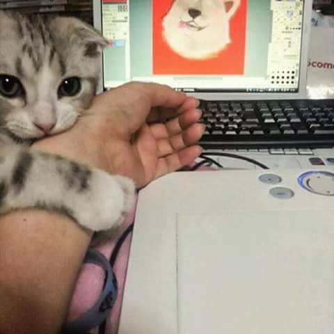 即将临盆的猫妈妈，看着好心疼