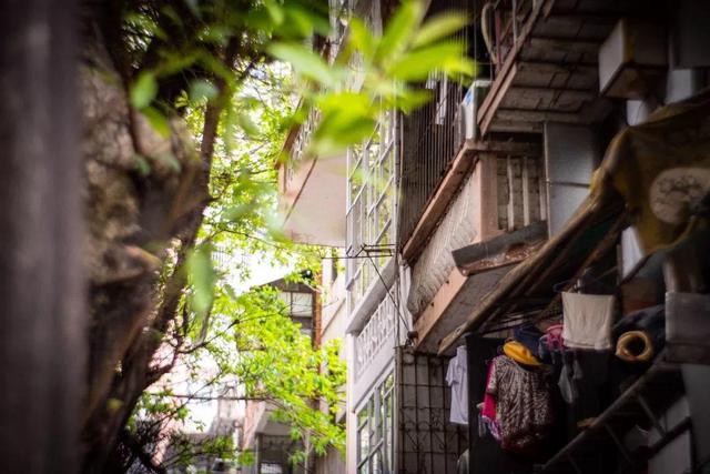 这栋60㎡的岭南小破楼，改造完后真香，住着比豪宅还舒服