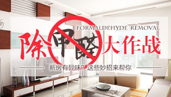 专家详述：为什么要除甲.醛？哪些方法可以清除家中的甲.醛？