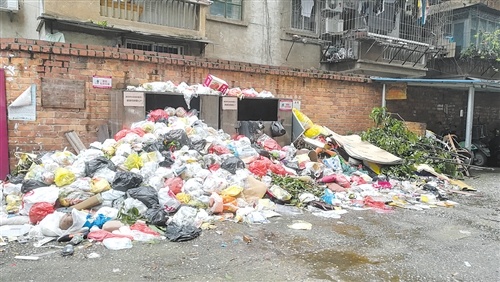 南宁一老旧小区部分居民不交物业费 垃圾堆成山