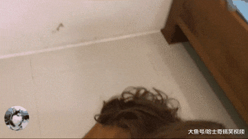 从背后看它还挺吓人的，当看到狗子正面时，结果都被逗笑了