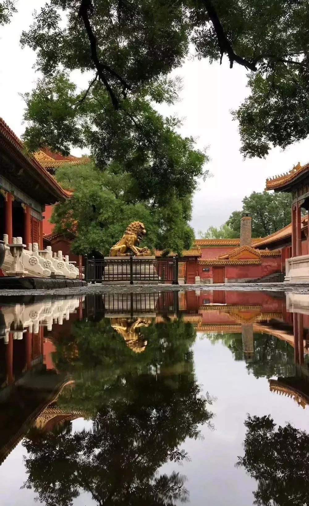 故宮的四季那么美，你見過嗎？