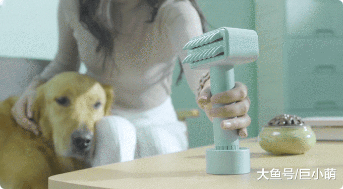 定期对狗狗进行毛发护理，对它的健康很重要，原因有以下5点