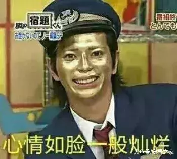 出血熱高發季來了，荷蘭豬有危險了
