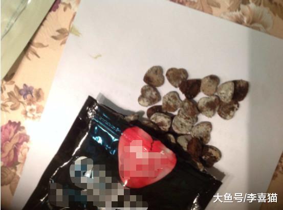 辟谣，狗粮夏季不可随意存放，储存方式错误将最终影响爱犬健康