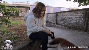 阿拉偷懒不想走路，主人找来“手推车”，网友建议推河里去