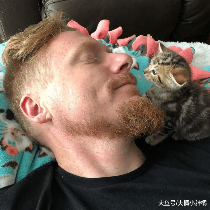 小猫被大叔救助，长大后懂得关心他人，天冷时趴在大叔怀里送温暖