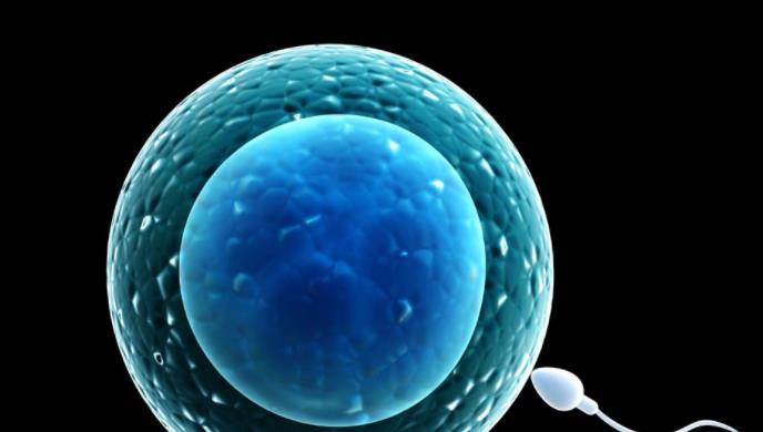 同房后，精子进入女性体内没“受精”跑哪去了？女人会有感觉吗？